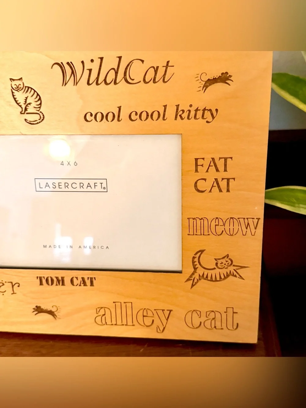 N/A vintage cat